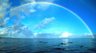 080609-realworld-dolphin.jpg