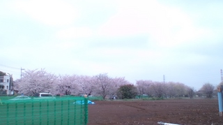 130331_1223~02.jpg