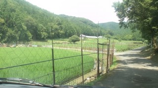 130718_1300~01.jpg
