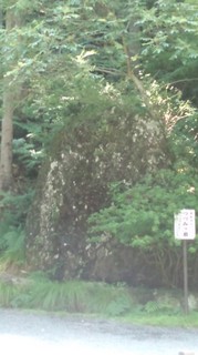 130718_1413~01.jpg