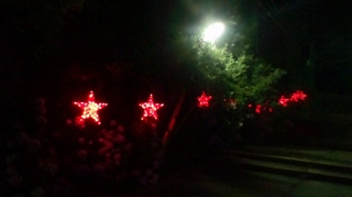 130721_2036~01.jpg