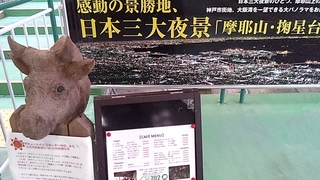 2013_07_21_19_47_27.jpg
