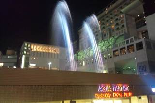 DSC_4050.jpg